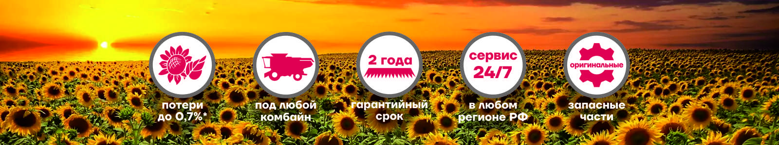 Уборка подсолнечника